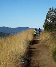 way of st james - walking the camino.jpg